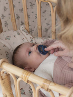 BIBS - Latex Round Nipple Blue Pacifier