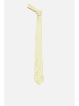 Peter England - Men Yellow Printed Tie