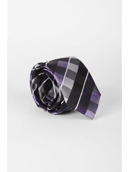 Louis Philippe - Men Multi-Color Check Tie