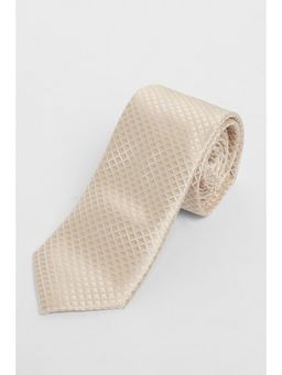 Louis Philippe - Men Beige Embroidered Tie