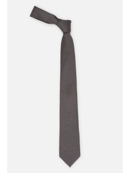 Peter England - Men Brown Embroidered Tie