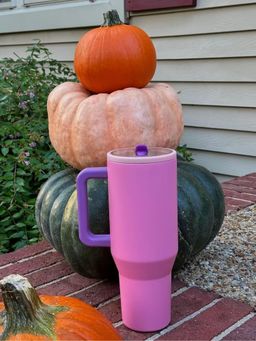 House of Quirk - Pink Tumbler Bottle with Handle and Flip Straw