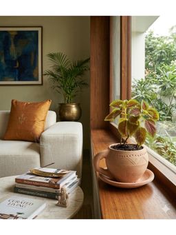 Swadeh - Cup-Saucer Shaped Planter