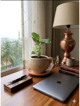 Swadeh - Cup-Saucer Shaped Planter