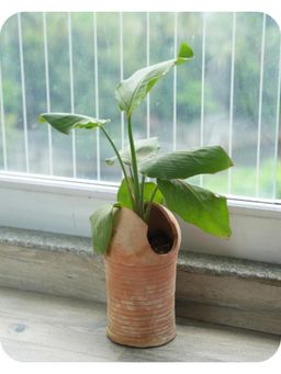 Swadeh - Urban Sphere Shaped Plater