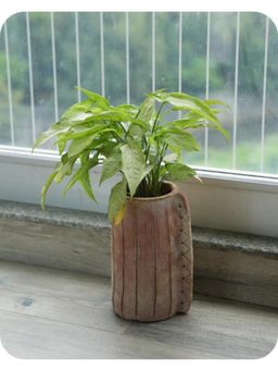 Swadeh - Eco Edge Shaped Plater