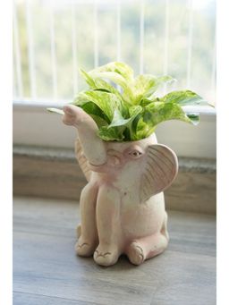 Swadeh - Tusker Elephant Shaped Plater