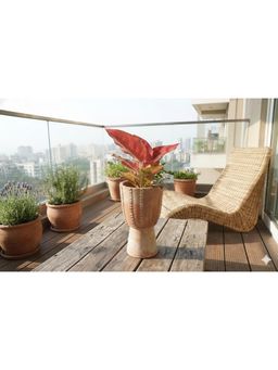 Swadeh - Djembe Wave Shaped Plater