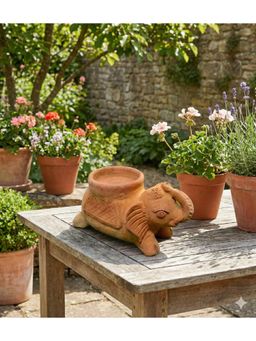 Swadeh - Elephant Deep Shaped Plater