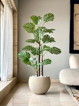 Mason Home - Artificial Dual Monstera Plant - 5 Feet