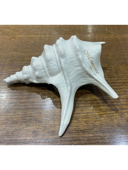 Momentz - Porcelain Shell Figurine