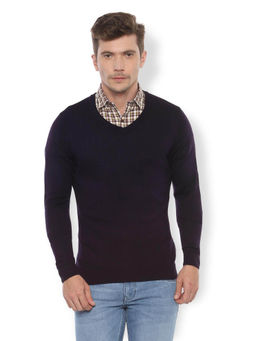 Van Heusen - Men Purple Knit V-Neck Sweater