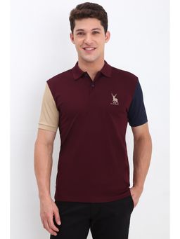 Allen Solly - Men Maroon Colour Block Collar Neck Polo T-Shirt