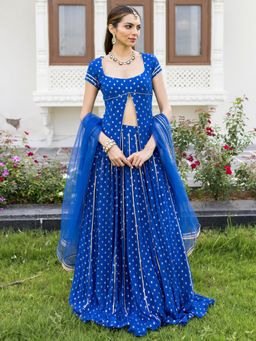 Lavanya The Label - Gulzar Blue Lehenga and Blouse with Dupatta
