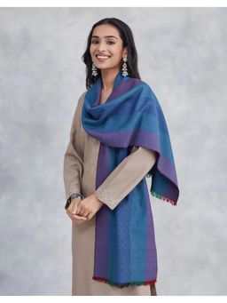 Fabindia - Blue Wool Muffler