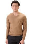 Brown color option, Currently selected