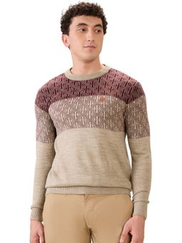 ColorPlus - Medium Brown Regular Fit Jacquard Full Sleeve Sweater