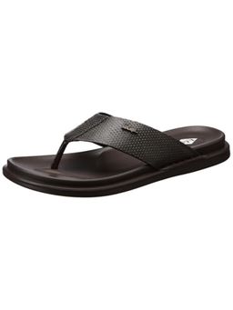 Lee Cooper - Men Brown Sandals