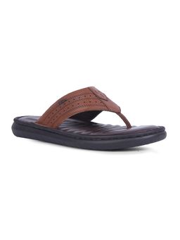 Lee Cooper - Men Brown Sandals