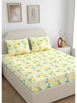 Home Ecstasy - 100% Cotton King Bedsheet With 2 Pillow Covers