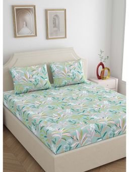 Home Ecstasy - 100% Cotton King Bedsheet With 2 Pillow Covers