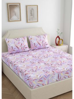 Home Ecstasy - 100% Cotton King Bedsheet With 2 Pillow Covers