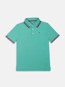 Green color option, Currently selected