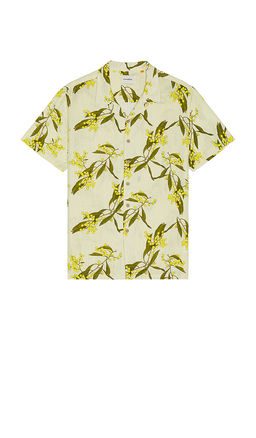 Critical Slide - Acarcia Resort Shirt