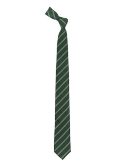 The Tie Hub - Tropical Green Striped Microfiber Necktie