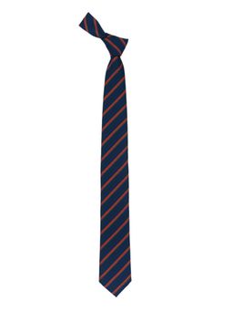The Tie Hub - Tropical Blue And Red Striped Microfiber Necktie