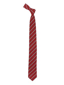 The Tie Hub - Tropical Red Striped Microfiber Necktie