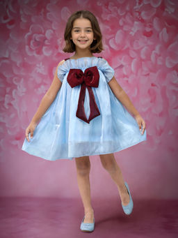 Toonyport - Girls Blue Fancy Dress