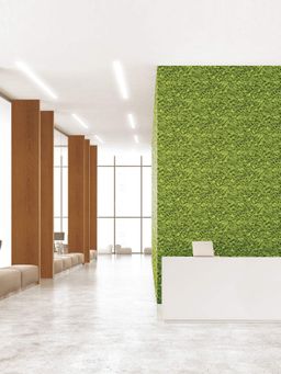 Excel - Wallpaper Carpet Moss In Green