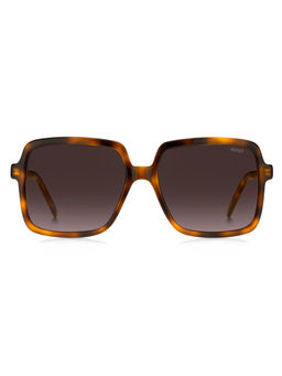 Hugo - Women Brown Square Sunglasses (56)