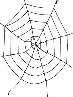 Little Surprise Box - Thick 4Feet Black Spider Web