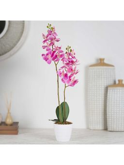 HomeTown - Ilana Artificial Orchid Potted Plant 60 cm In Pink Colour