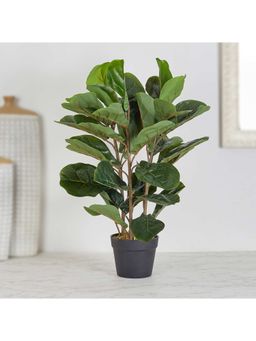 HomeTown - Ilana Artificial Fiddle Potted Plant 70 cm In Green Colour