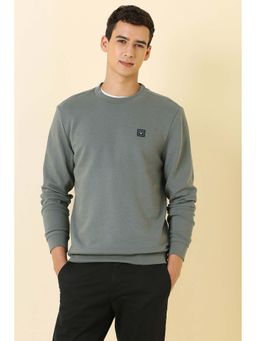 Allen Solly - Men Grey Crew Neck Full Sleeves Casual Sweatshirt