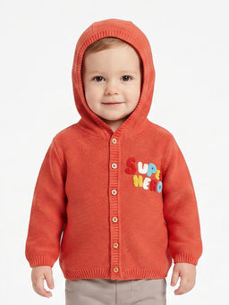MINI KLUB - Baby Boys Cotton Full Sleeves Embroidered Knitted Sweater