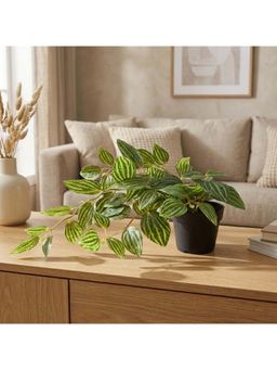 HomeTown - Ilana Hanging Green Artificial Zebra Plant