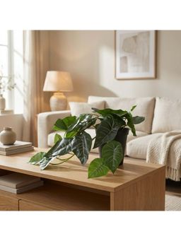 HomeTown - Ilana Hanging Green Artificial Alocasia Plant