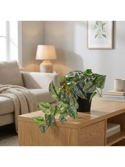 HomeTown - Ilana Hanging Green Artificial Epipremnum Plant