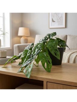 HomeTown - Ilana Hanging Green Artificial Small Monstera Plant