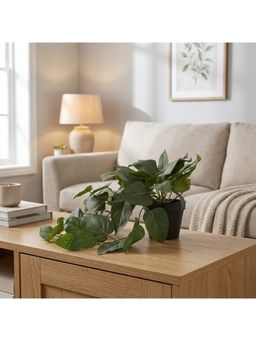 HomeTown - Ilana Hanging Green Artificial Philodendron Plant