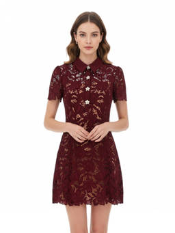 self-portrait - Lace Shirt Collar Mini Dress
