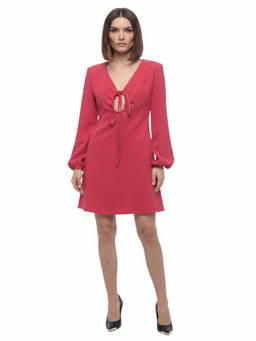 Parosh - Pink V Neck Mini Dress (S)