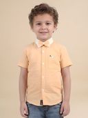 Orange color option, Currently selected