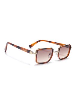 Voyage - Square Sunglasses for Men & Women (Brown & Clear Lens|Golden & Demi Brown Frame)