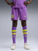 Purple color option, Currently selected