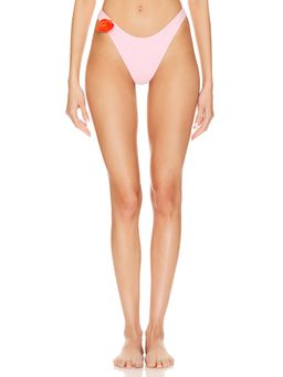 MORE TO COME - Lucia Bikini Bottom